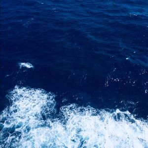 Meet your Posher, Aleena